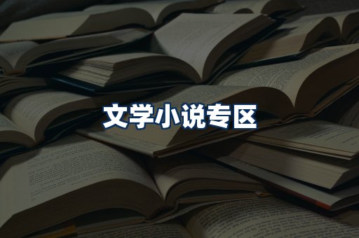 文学小说PDF展示